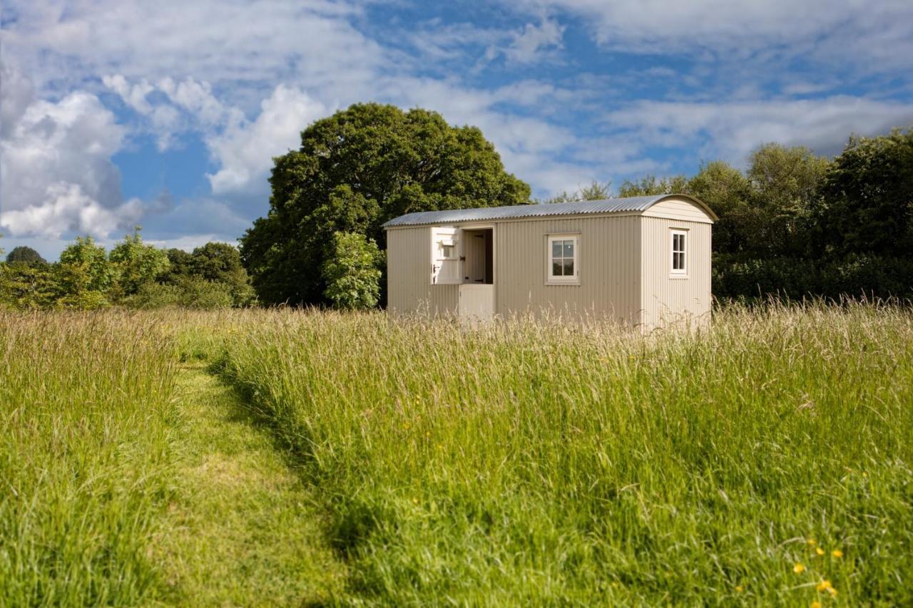 Romantic Secluded Shepherd Hut Hares Rest Southwick  Zewnętrze zdjęcie