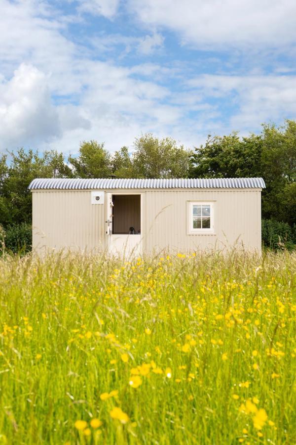 Romantic Secluded Shepherd Hut Hares Rest Southwick  Zewnętrze zdjęcie